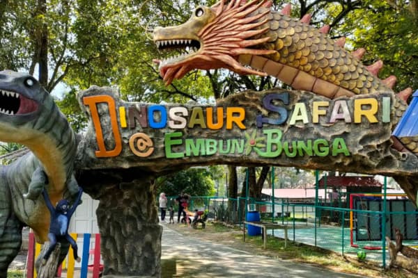 P_D_ Ostrich Show Farm 